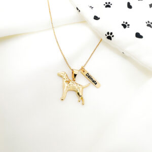 Colar Dálmata com plaquinha folheado a ouro