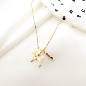 Colar Vira-Lata Filhote com plaquinha folheado a ouro