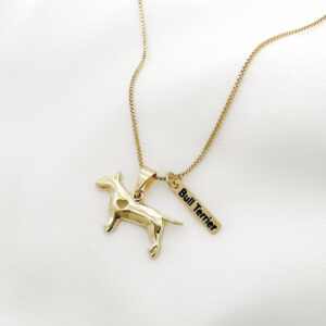 Colar Bull Terrier  com plaquinha folheado a ouro