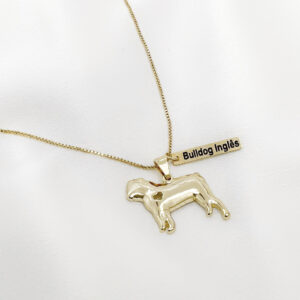 Colar Bulldog Inglês com plaquinha folheado a ouro