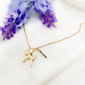 Colar Chihuahua com plaquinha folheado a ouro