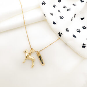 Colar Pinscher com plaquinha folheado a ouro