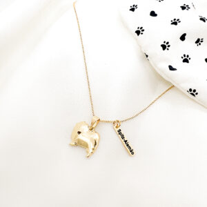 Colar Spitz-Alemão com plaquinha folheado a ouro